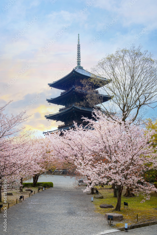 Toji Temple in Kyoto, Japan during beautiful full bloom cherry blossom season Toji Temple in Kyoto, Japan during beautiful full bloom cherry blossom season