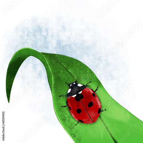Photography Ladybug walking on a long leaf illustration
