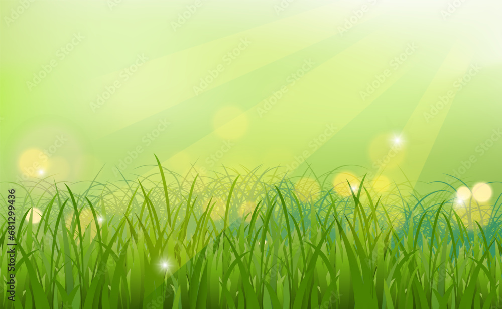 nature grass vector spring background.