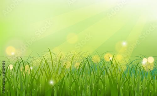 nature grass vector spring background.