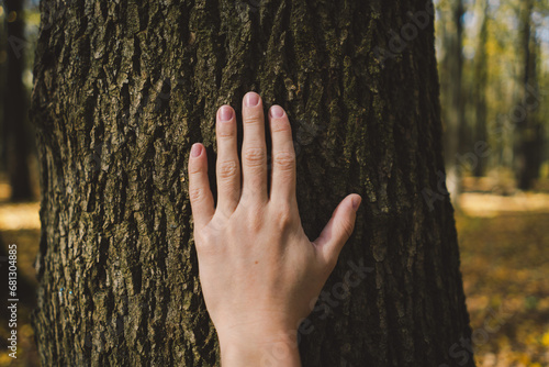 Female hand touches an old tree in an autumn forest. Love nature. Earth day and Environmental care.