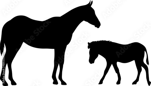 Silhouette of horses - Horse illustrations isolated on white background　向かい合う二頭の馬のシルエットイラスト © tomr