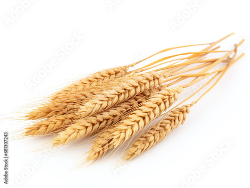 Wheat isolated on white.