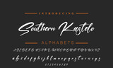 Best Alphabet Boisterous Amazing Script Signature Logotype Font lettering handwritten