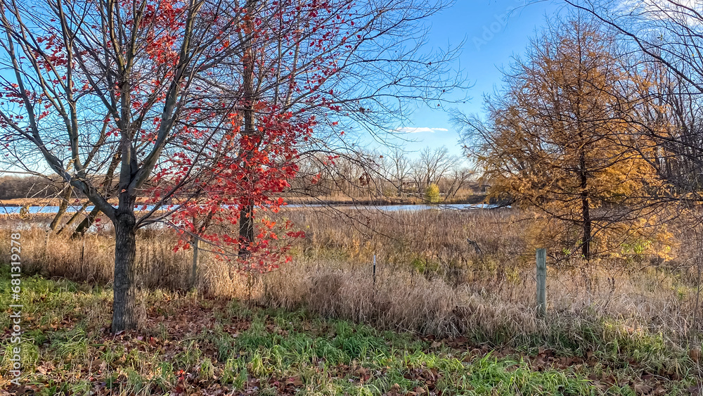 Colorful Fall Foliage in the Park with a Lake Colorful Fall Foliage in the Park with a Lake