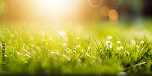 A field of grass with the sun shining in the background, nature background, Generative AI