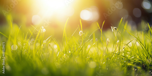 A field of grass with the sun shining in the background, nature background, Generative AI