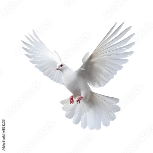 A free flying white dove isolated on transparent background -