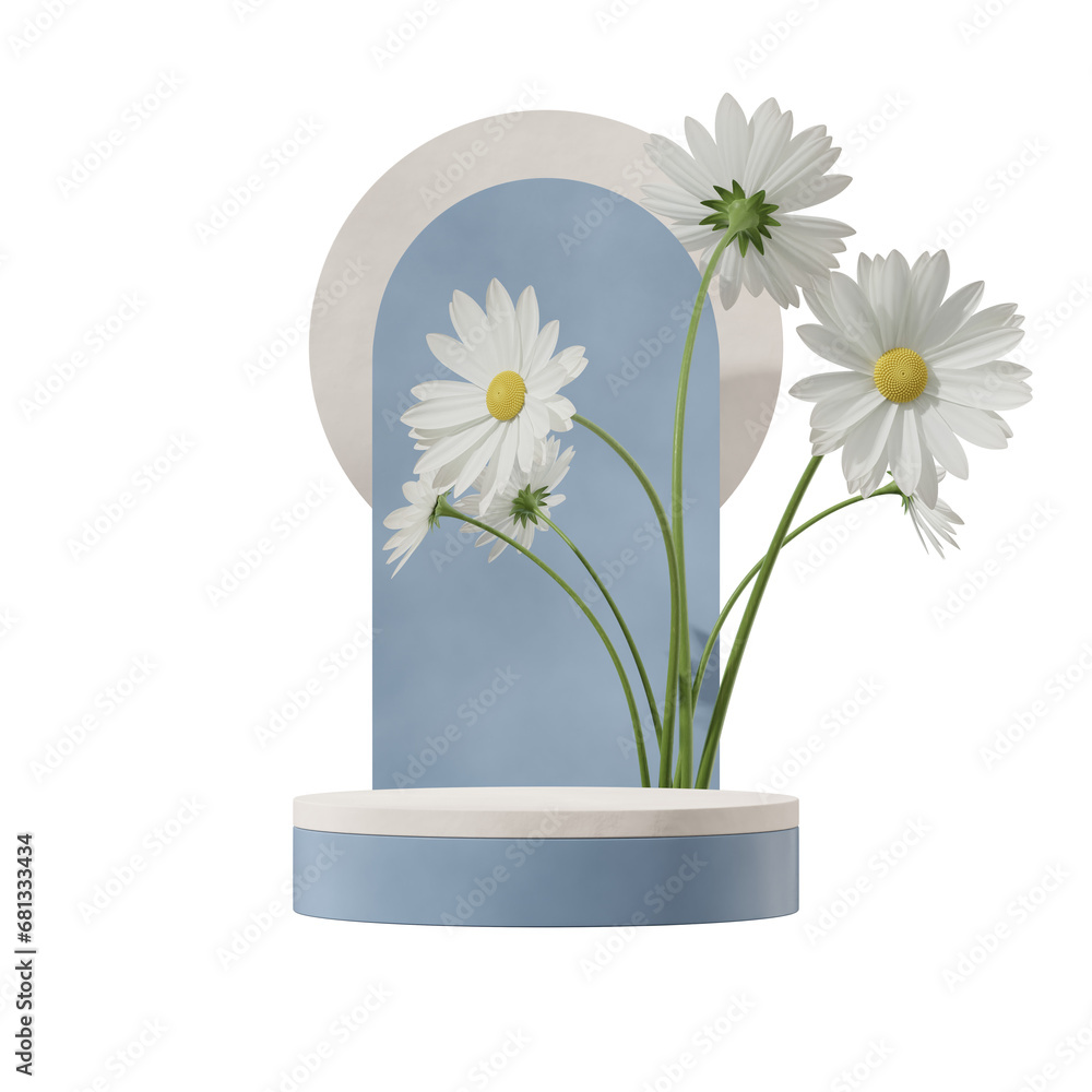 3d render transparent background of white and blue cylinder podium in square with white daisy flower
