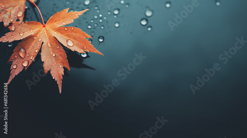 Background Design of a Single Rain-Soaked Leaf in Subtle, Natural Colors