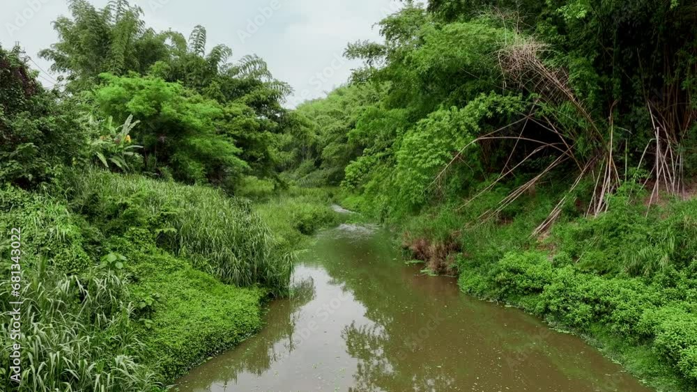 Aerial flyover tranquil stream in green lush jungle of Tianliao Moon World 田寮月世界 in Taiwan Aerial flyover tranquil stream in green lush jungle of Tianliao Moon World 田寮月世界 in Taiwan