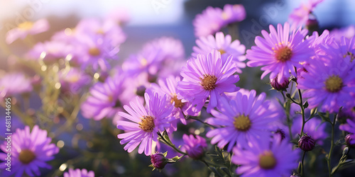 A bright purple flower on a flower bed rose petals a closeup shot of small chrysanthemums background generative ai