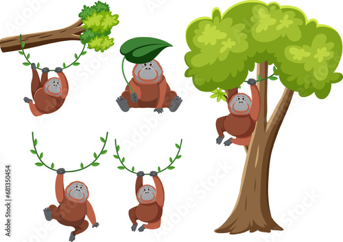 Orangutan Swing: Vector Cartoon Illustration of Vine, Branch, and Tree