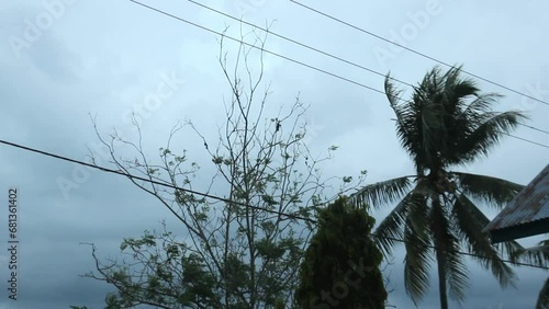 black clouds before the rain with trees swaying in the wind during the day
