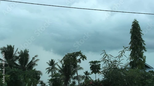 black clouds before the rain with trees swaying in the wind during the day