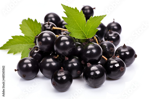 blackcurrant white background