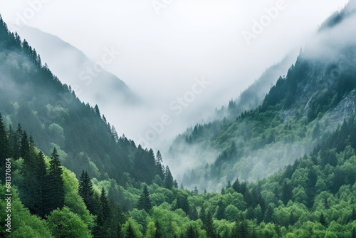 The mystical fog gently embraces the majestic mountain, creating a dreamy atmosphere where the lush forest below seems to dance in harmony with nature's beauty. © Andreww