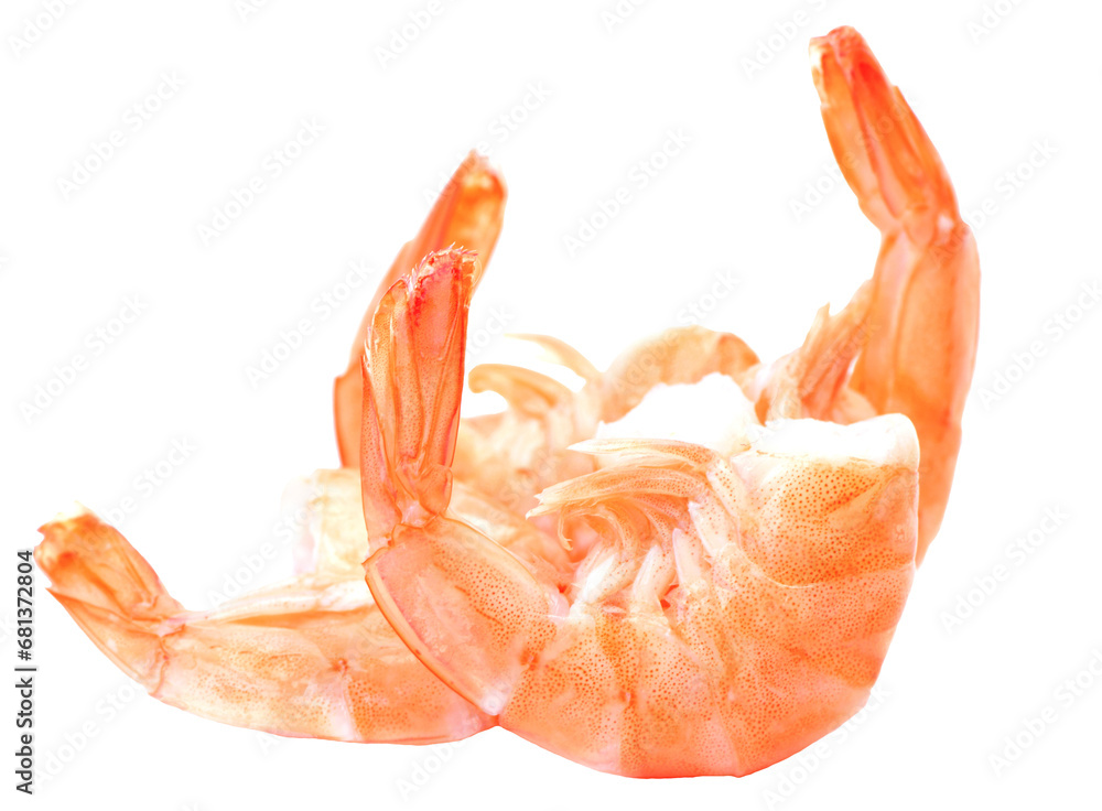 Shrimp isolated on white Shrimp isolated on white