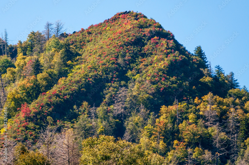 Obraz premium The Great Smoky Mountains National Park