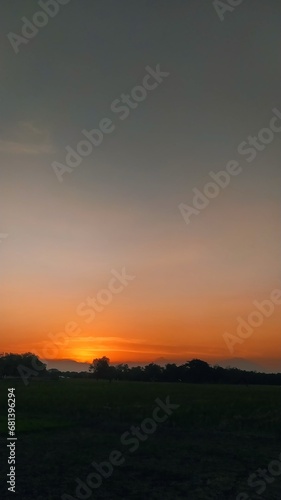 Sunset on the rice fields
