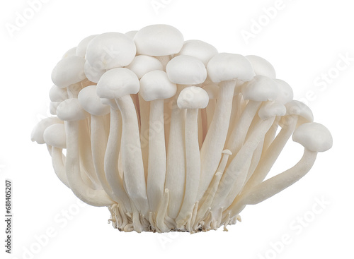 White beech mushrooms, Shimeji mushrooms isolated on white background