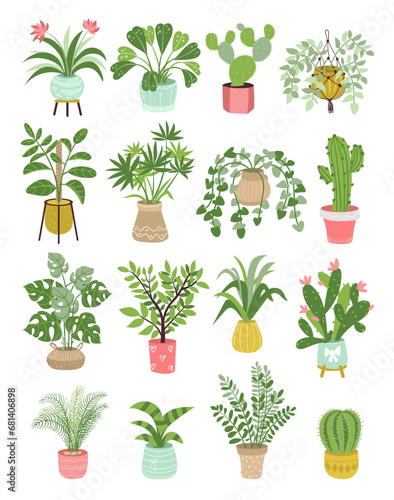 Home plants. Different types of ficus in flowerpots. Trees and decorative greenery for interiors and greenhouses. Urban indoor garden. Potted succulents and cactuses. Splendid vector set