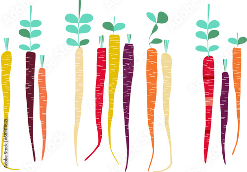 Rainbow Colours Heritage Carrots Vector Illustration in a fun and simple geometric style