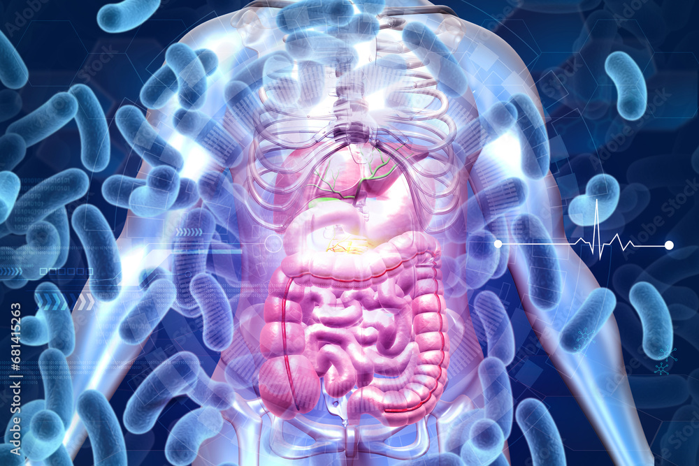 Human digestive system with  virus bacteria. 3d illustration - obrazy, fototapety, plakaty 