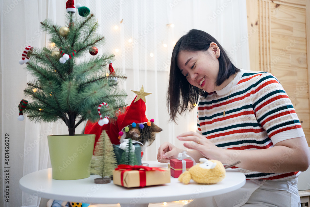 asian woman decorate christmas tree and dressing her cat with christmas theme asian woman decorate christmas tree and dressing her cat with christmas theme