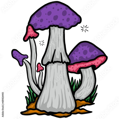 mushrooms in the forest