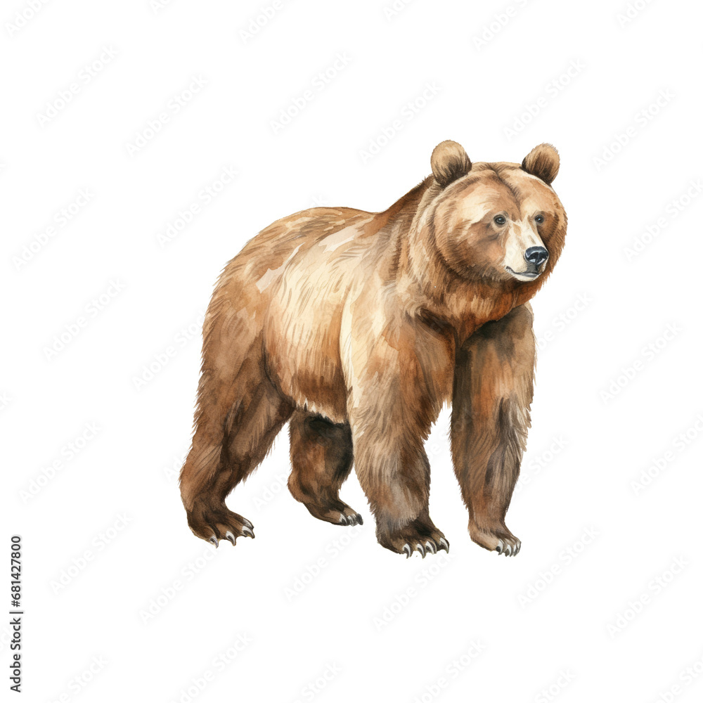Bear watercolor illustration brown grizzly bear. hand down painted on a white background. PNG 300DPI clipart isolated Bear watercolor illustration brown grizzly bear. hand down painted on a white background. PNG 300DPI clipart isolated