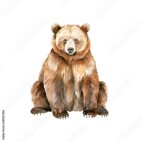 Bear watercolor illustration brown grizzly bear. hand down painted on a white background. PNG 300DPI clipart isolated © Jo