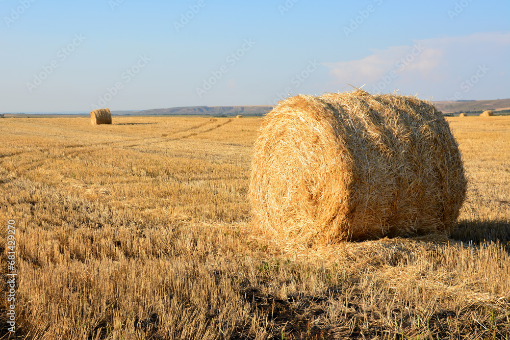 bale of hay on the field in sunset isolated copy space  