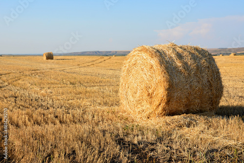 bale of hay on the field in sunset isolated copy space 