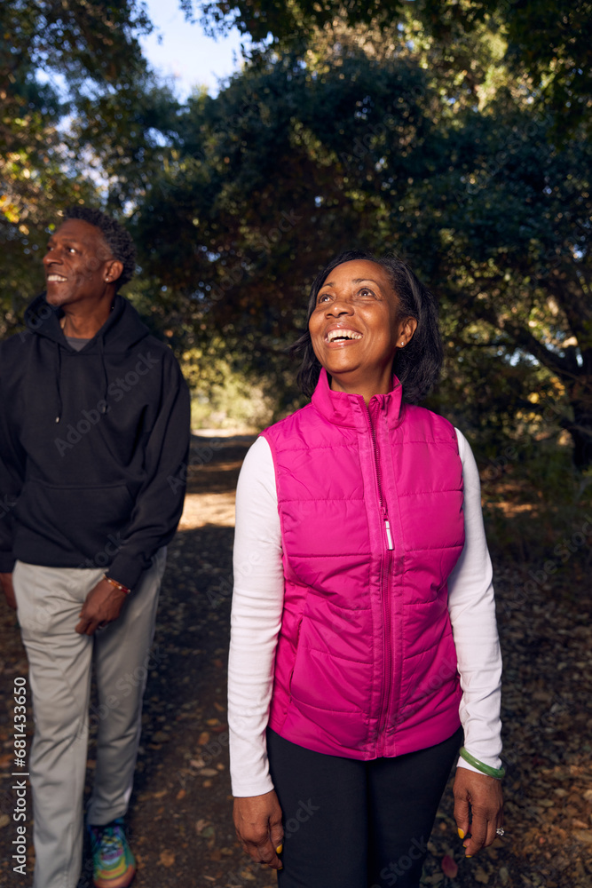 Fototapeta premium Adult Senior Black Couple Walking on Hiking Trail in Nature 