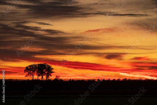 Tramonto su un campo con la sagoma di un albero in primo piano.