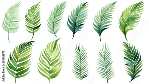 set of watercolor palm leaves isolated on white background