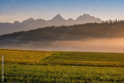 Autumn misty sunny morning with hot meadow  forest and mountains. Wonderful tourist morning