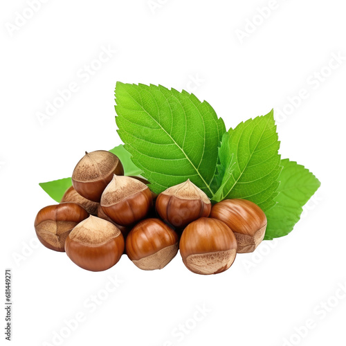 Hazelnut with leaves isolated on white or transparent background, png