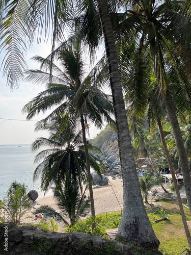 palm tree on the beach, Phuket, Thailand. Beautiful view