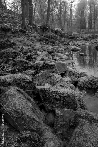 Greyscale shot of mossy rocks on the bank of a river. Ludvika county, Sweden