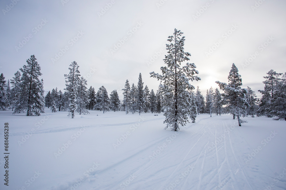 Fototapeta premium Winter landscape in Pallas Yllastunturi National Park, Lapland, Finland