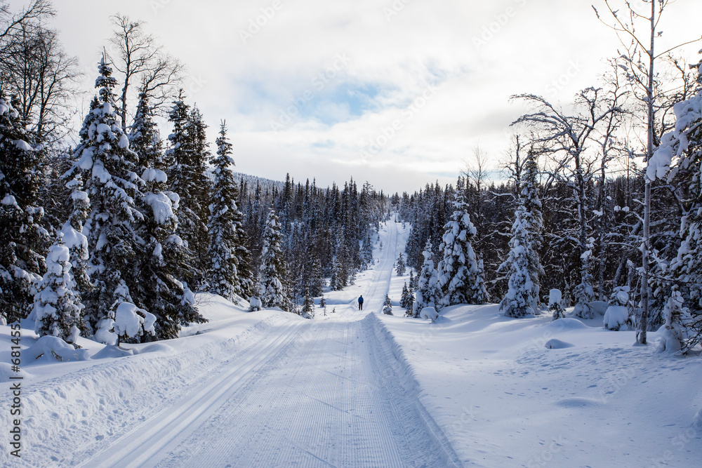 Ski expedition in Pallas Yllastunturi National Park , Lapland, Finland