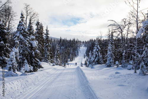 Ski expedition in Pallas Yllastunturi National Park , Lapland, Finland © Alberto Gonzalez 