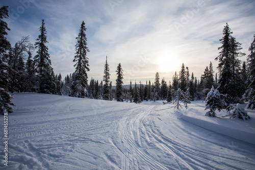 Ski expedition in Pallas Yllastunturi National Park   Lapland  Finland