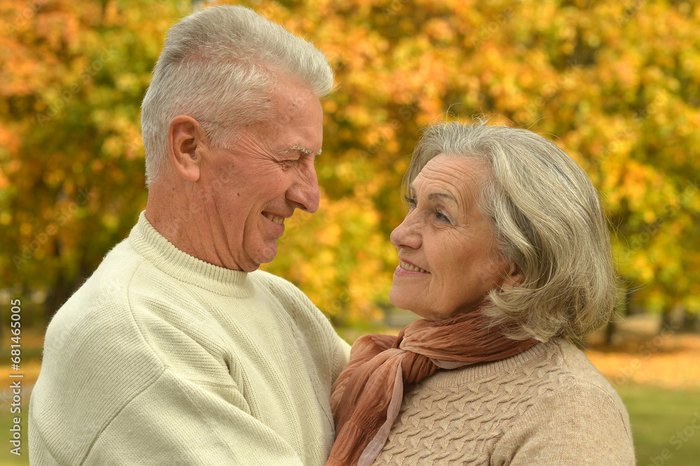 Close up portrait of beautiful senior couple relaxing in park