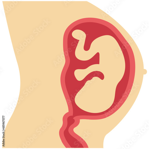Fetus