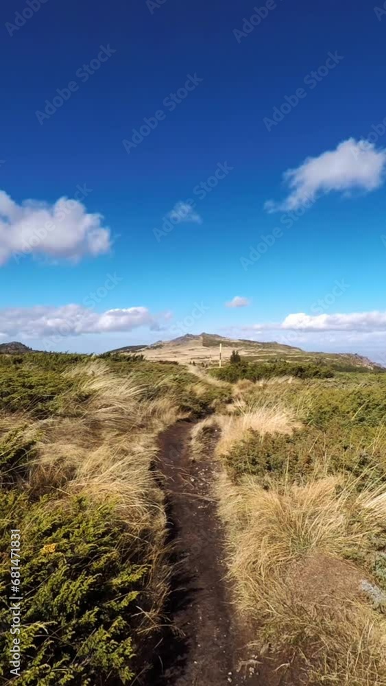 A path leading to a mountain on a sunny day A path leading to a mountain on a sunny day