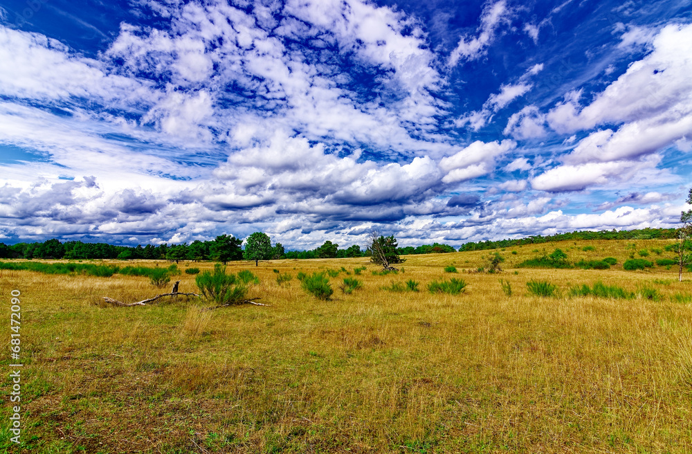 Fototapeta premium beautiful autumn day in Nuremberg