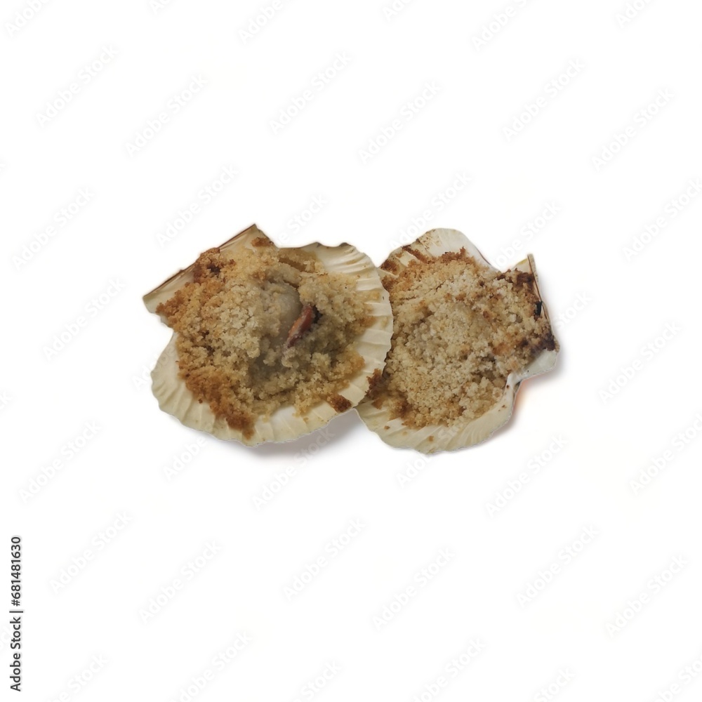 mollusk scallop au gratin with shell mollusk scallop au gratin with shell